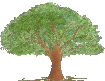 ؂S