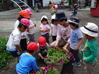 �t�����h���[